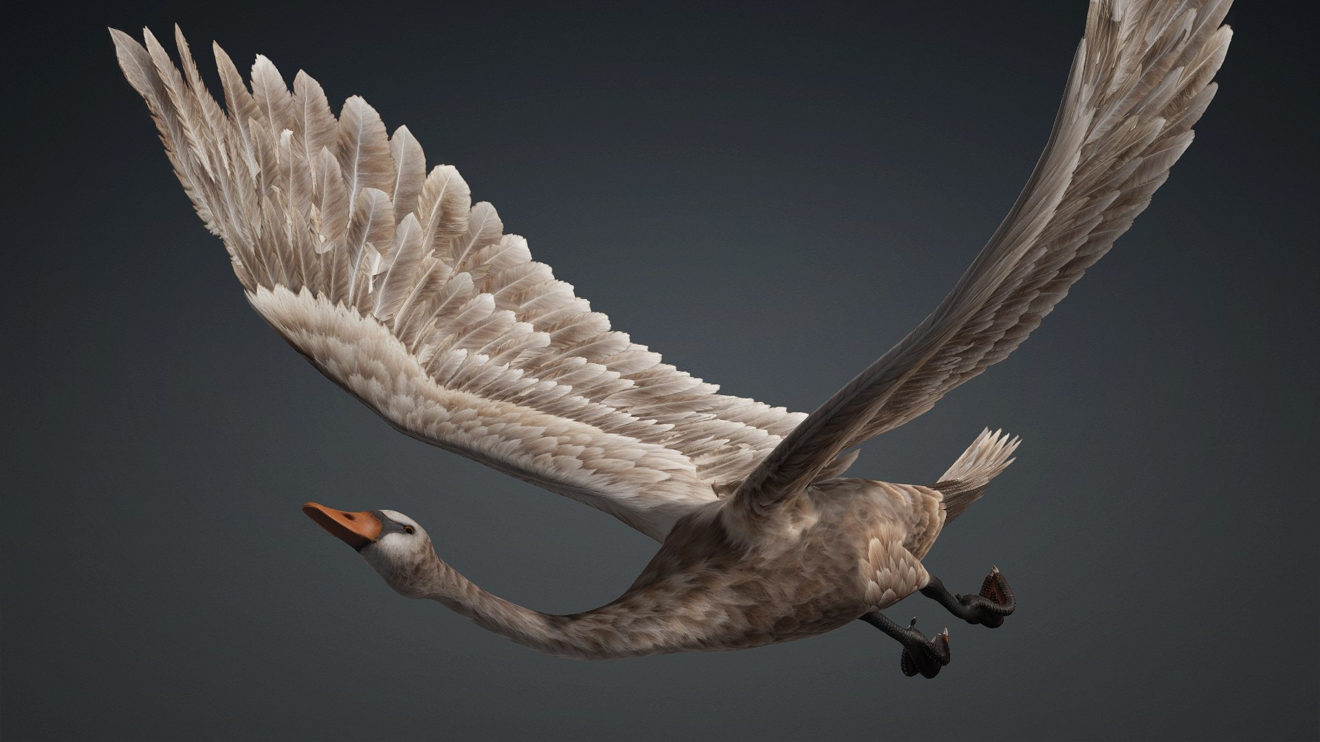 Cygnus-A1 3D https://p.turbosquid.com/ts-thumb/mN/Mn2trl/AQ/preview15/jpg/1793328029/1920x1080/fit_q87/abb4ed792dc8d3a900767e5b6c06f24824759125/preview15.jpg
