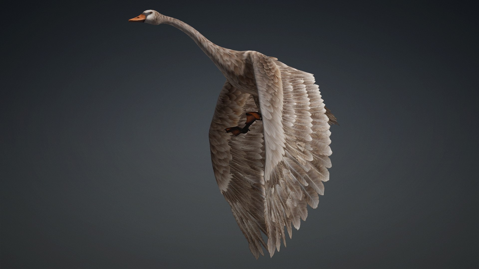 Cygnus-A1 3D https://p.turbosquid.com/ts-thumb/mN/Mn2trl/bL/preview9/jpg/1793328025/1920x1080/fit_q87/945808f8f66167e5253492ead5972b3ea508e23f/preview9.jpg