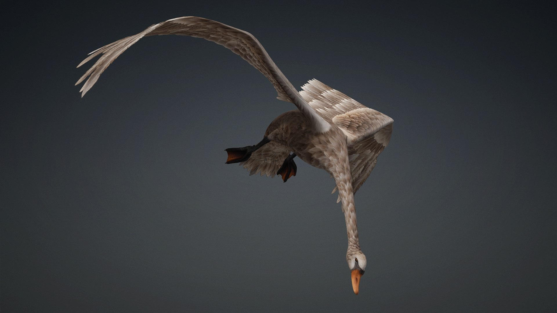 Cygnus-A1 3D https://p.turbosquid.com/ts-thumb/mN/Mn2trl/s3/preview5/jpg/1793328023/1920x1080/fit_q87/ba089282d3482c0b13809de5af3f0eef6c874bb2/preview5.jpg