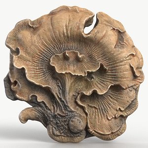 Fungus Fossil 15 Textured