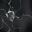 Neuron