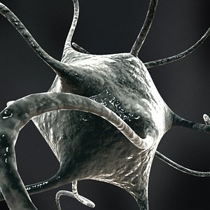 3d model neuron