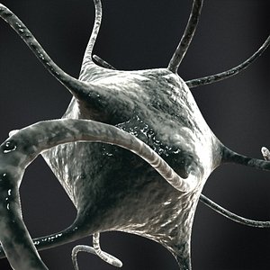 Neuron