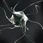 Neuron