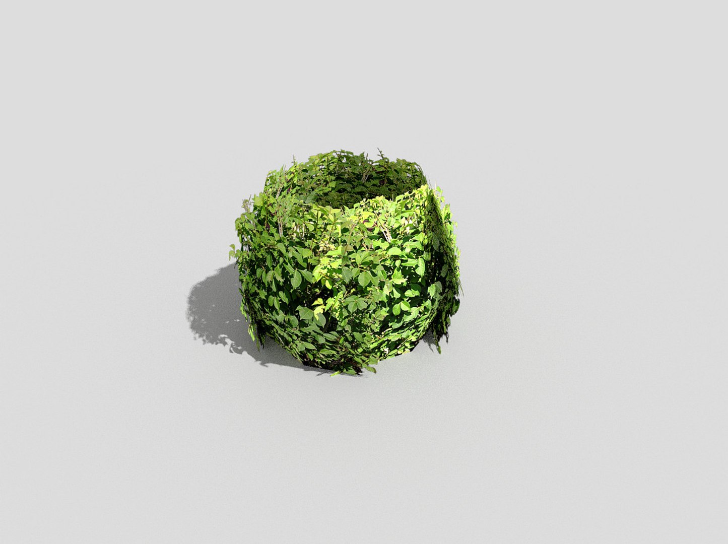 3d Model Shrub