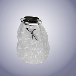 Christmas Gift bag