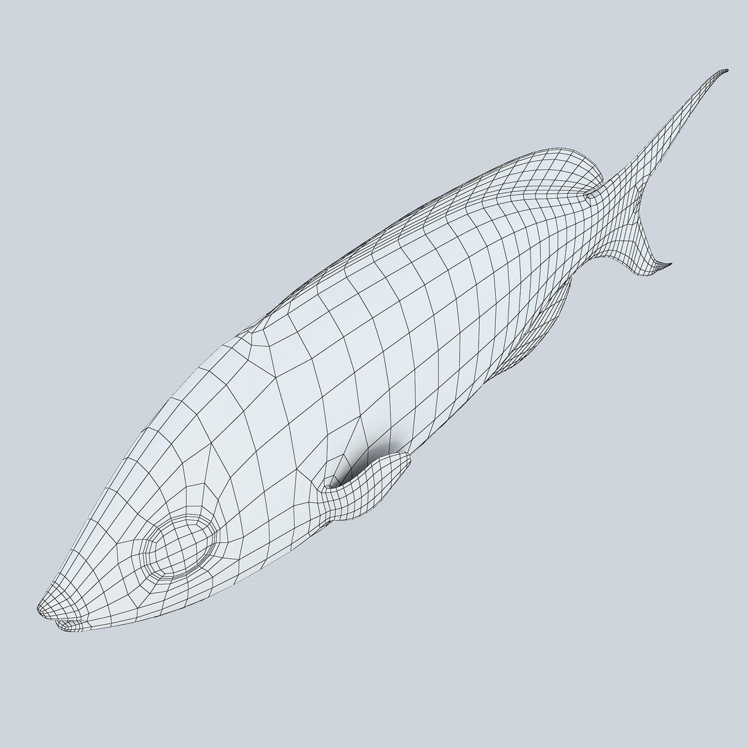 bartlett anthias 3d 3ds https://p.turbosquid.com/ts-thumb/mN/xqaN0H/lJHgAbVy/bartlettsanthias1r5w/jpg/1402677349/1920x1080/fit_q87/c858dd624ef47df3a299dbc1dc9f8d1435271cd3/bartlettsanthias1r5w.jpg