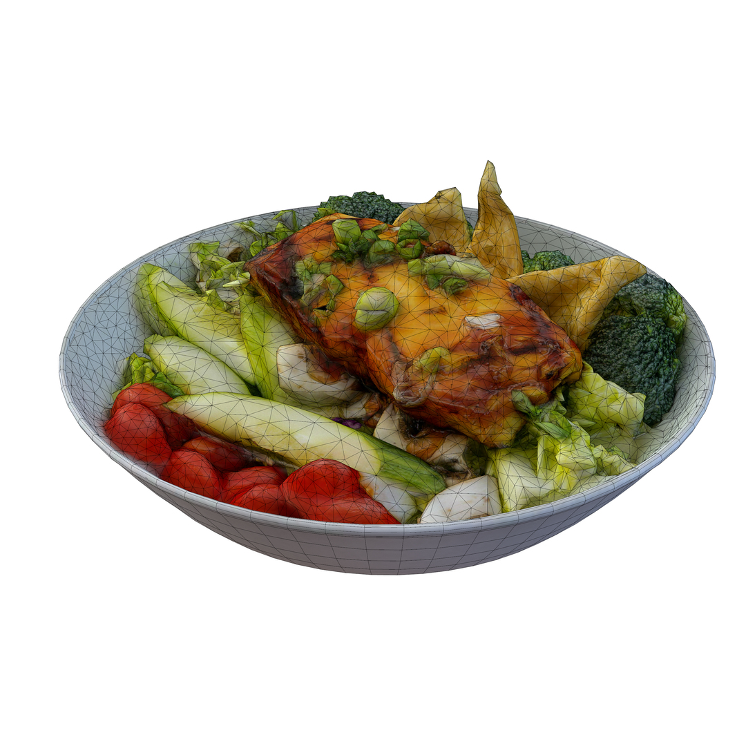 teriyaki salmon salad 3D https://p.turbosquid.com/ts-thumb/mO/4uC7yU/DzSmn2tx/teriyakisalmonsaladwire/png/1584993734/1920x1080/turn_fit_q99/e651da0e93e031a79b6dc58232cdaac548806959/teriyakisalmonsaladwire-1.jpg