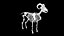 3D Rigged sheep skeleton