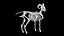 3D Rigged sheep skeleton