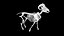3D Rigged sheep skeleton