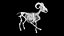 3D Rigged sheep skeleton