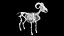 3D Rigged sheep skeleton