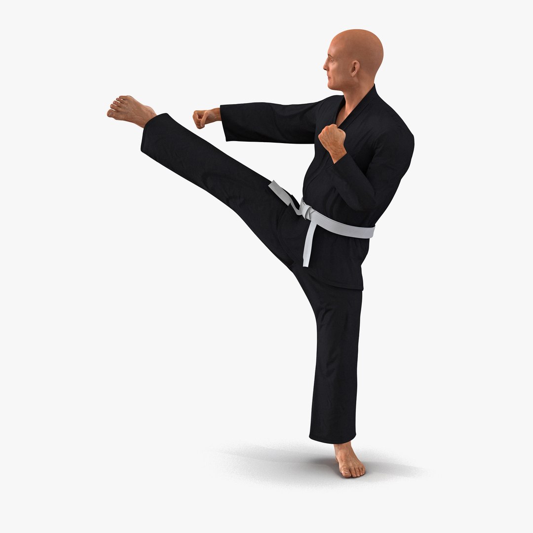 Karate Fighter Pose 2 Black Suit 3D model preview