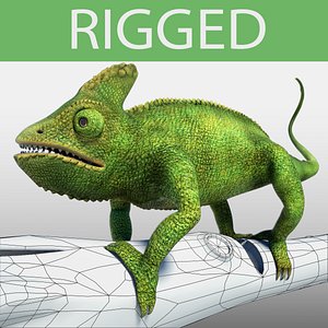 3d chameleon green model