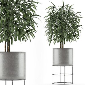 single plant 14 3D model