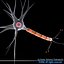 Neuron cell
