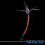 Neuron cell