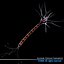 Neuron cell