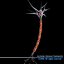 Neuron cell