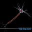 Neuron cell
