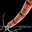 Neuron cell