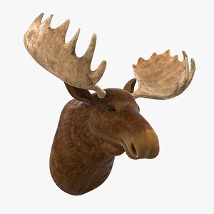 3D moose head trophy model