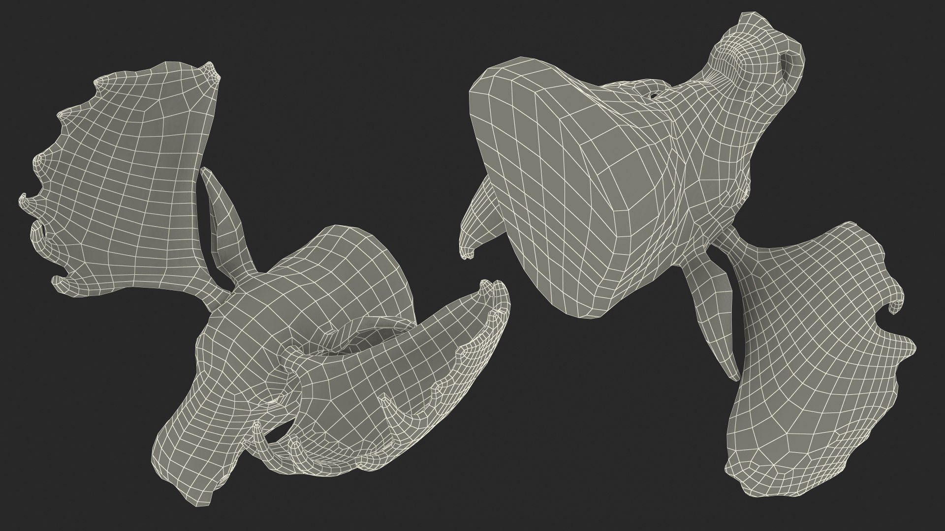 3D moose head trophy model https://p.turbosquid.com/ts-thumb/mO/TPFQtV/jqiVcgtz/mooseheadtrophyvray3dmodel014/jpg/1569407406/1920x1080/fit_q87/2182706131eb443b989167e10bd75a7f89a34be5/mooseheadtrophyvray3dmodel014.jpg