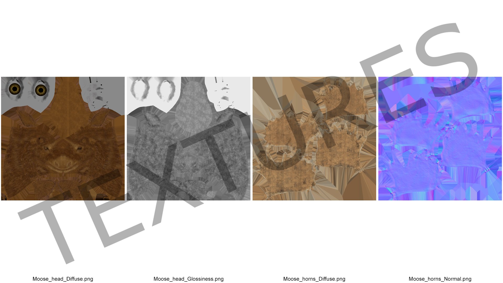 3D moose head trophy model https://p.turbosquid.com/ts-thumb/mO/TPFQtV/qSUMoPc8/mooseheadtrophyvray3dmodel010/jpg/1569407387/1920x1080/fit_q87/898f6d7bdf6b5253a2687ffaab207ce5f7068bcd/mooseheadtrophyvray3dmodel010.jpg