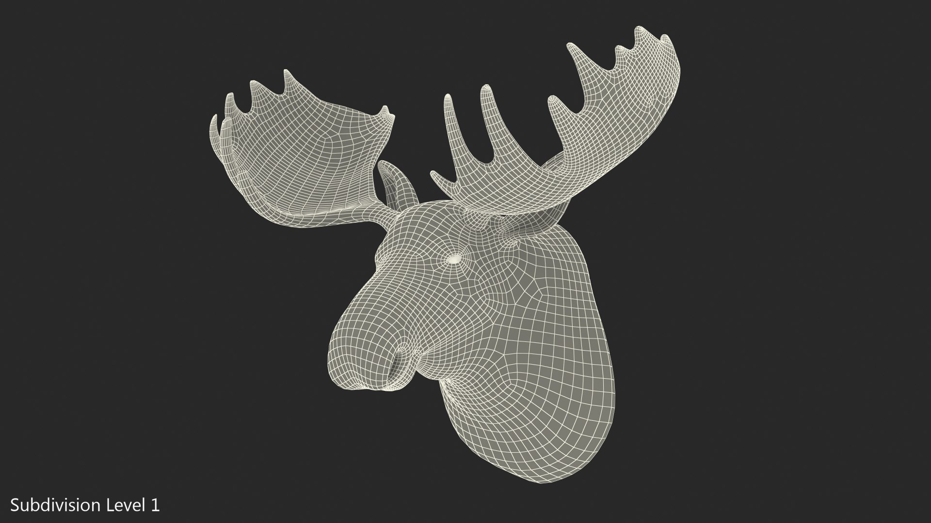 3D Moose Head Trophy Model TurboSquid 1452164 Mooseheadtrophyvray3dmodel008