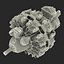 Radial Engine Pratt and Whitney R-2800