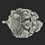 Radial Engine Pratt and Whitney R-2800