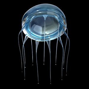 light blue jellyfish 3D model