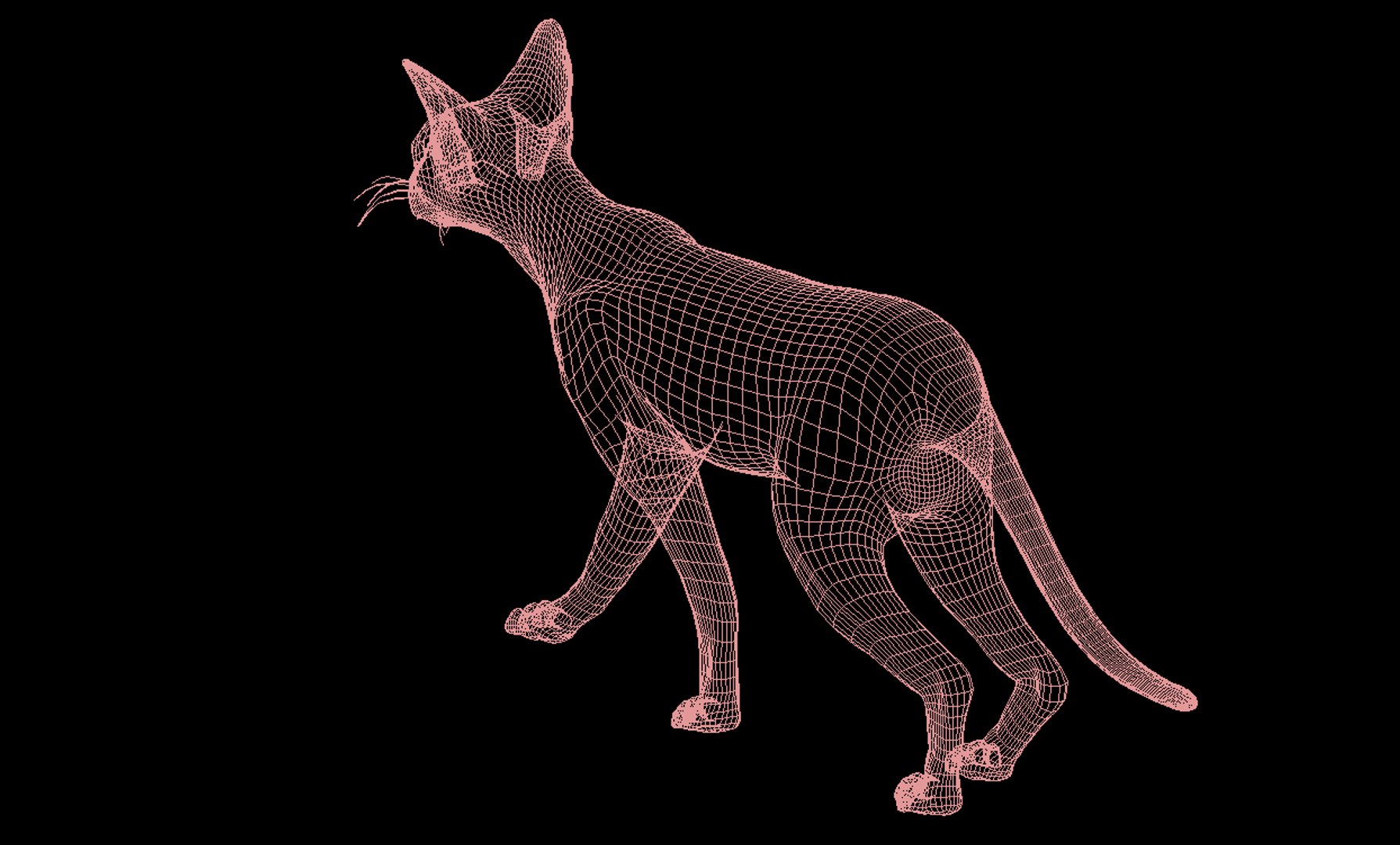 cat modelled 3d model https://p.turbosquid.com/ts-thumb/mO/XdCqjW/ZhTPtGlq/6/jpg/1462773707/1920x1080/fit_q87/77ec4636da9ec142895a68f6e83f52f31e071984/6.jpg