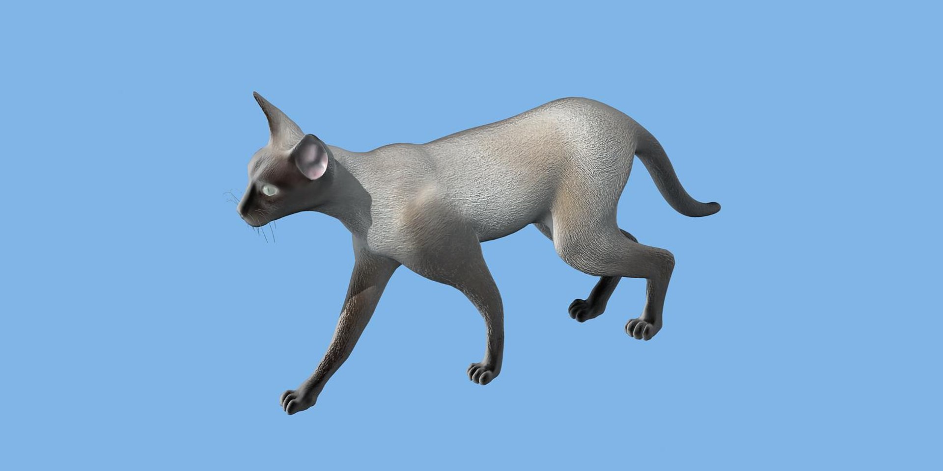 cat modelled 3d model https://p.turbosquid.com/ts-thumb/mO/XdCqjW/fAISyvly/3/jpg/1462773707/1920x1080/fit_q87/06b0890cccc8e5394bb2a96d281d2f3282d68dc5/3.jpg