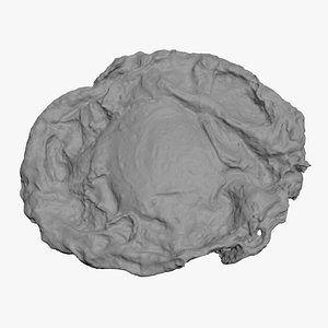 Fried Egg 02 for  Print