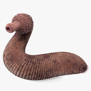 Ottoia Relict Marine Worm Rigged