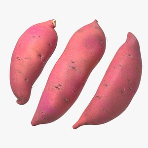 Sweet Potatoes Red 3D model