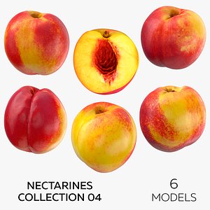 Nectarines Collection 04 - 6 models 3D model