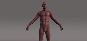 Human Animated Character