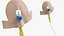 Medical Catheters Collection