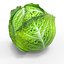 Green Cabbage