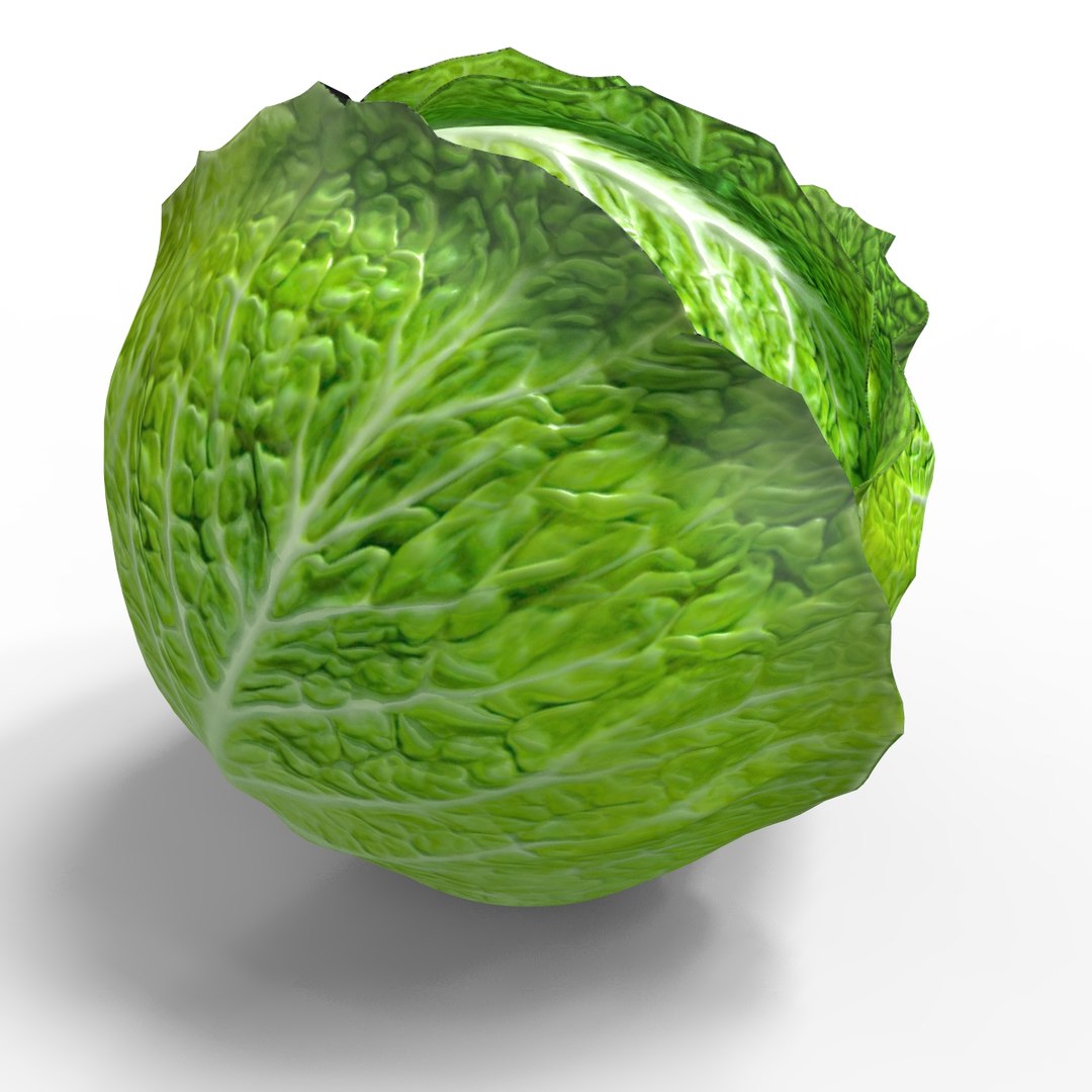 vegetable cabbage green model https://p.turbosquid.com/ts-thumb/mP/1NgINe/7gznVzjN/cb3/jpg/1585612659/1920x1080/fit_q87/c64e8651152ce09342e5bde74c37b651fae8988d/cb3.jpg