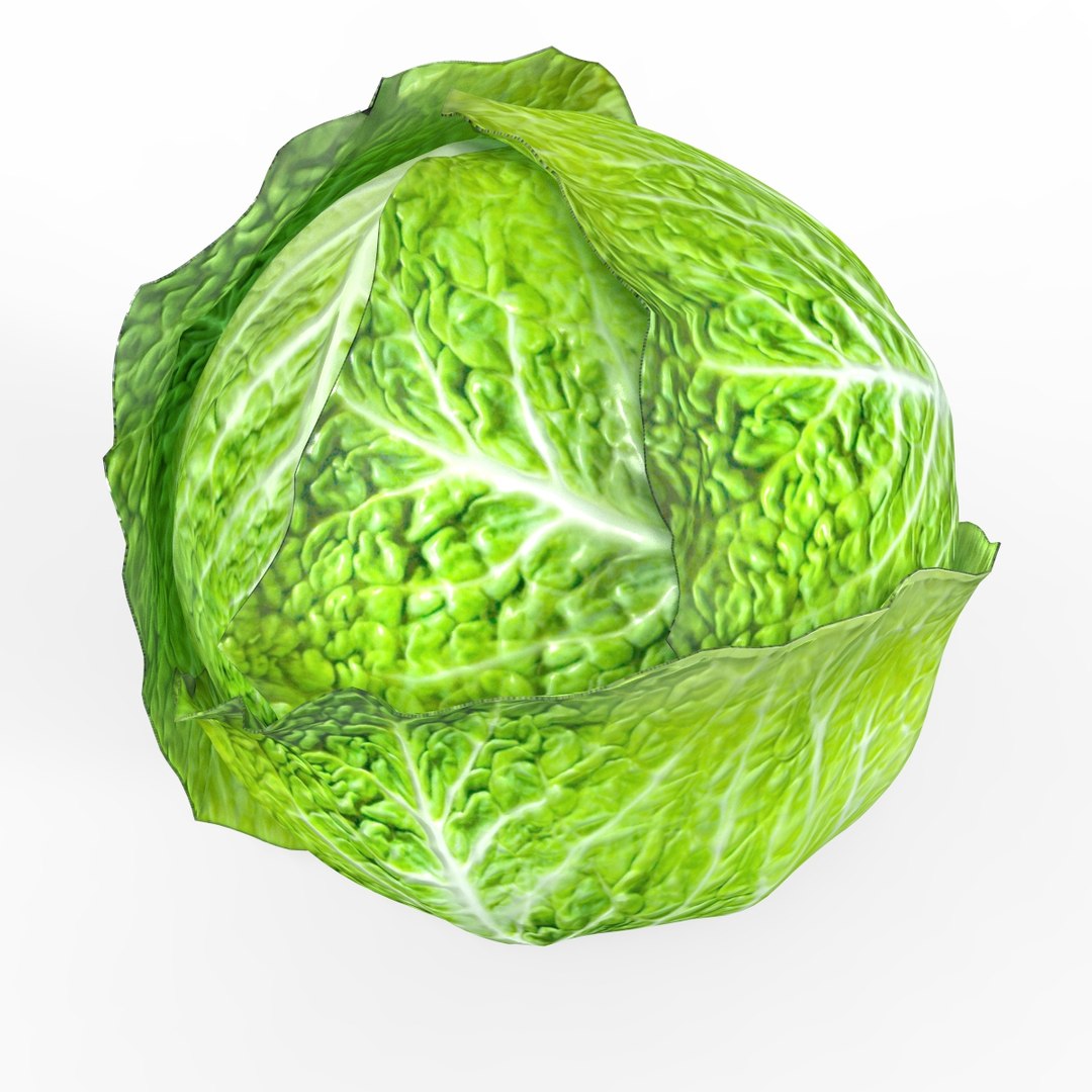 vegetable cabbage green model https://p.turbosquid.com/ts-thumb/mP/1NgINe/JCJmHZ3e/cb5/jpg/1585612659/1920x1080/fit_q87/4efb9e9217b8b6c1515a770fea2446416f4b5175/cb5.jpg