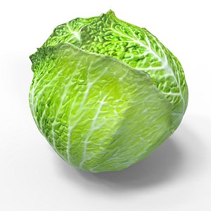vegetable cabbage green model