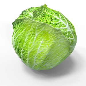 Green Cabbage
