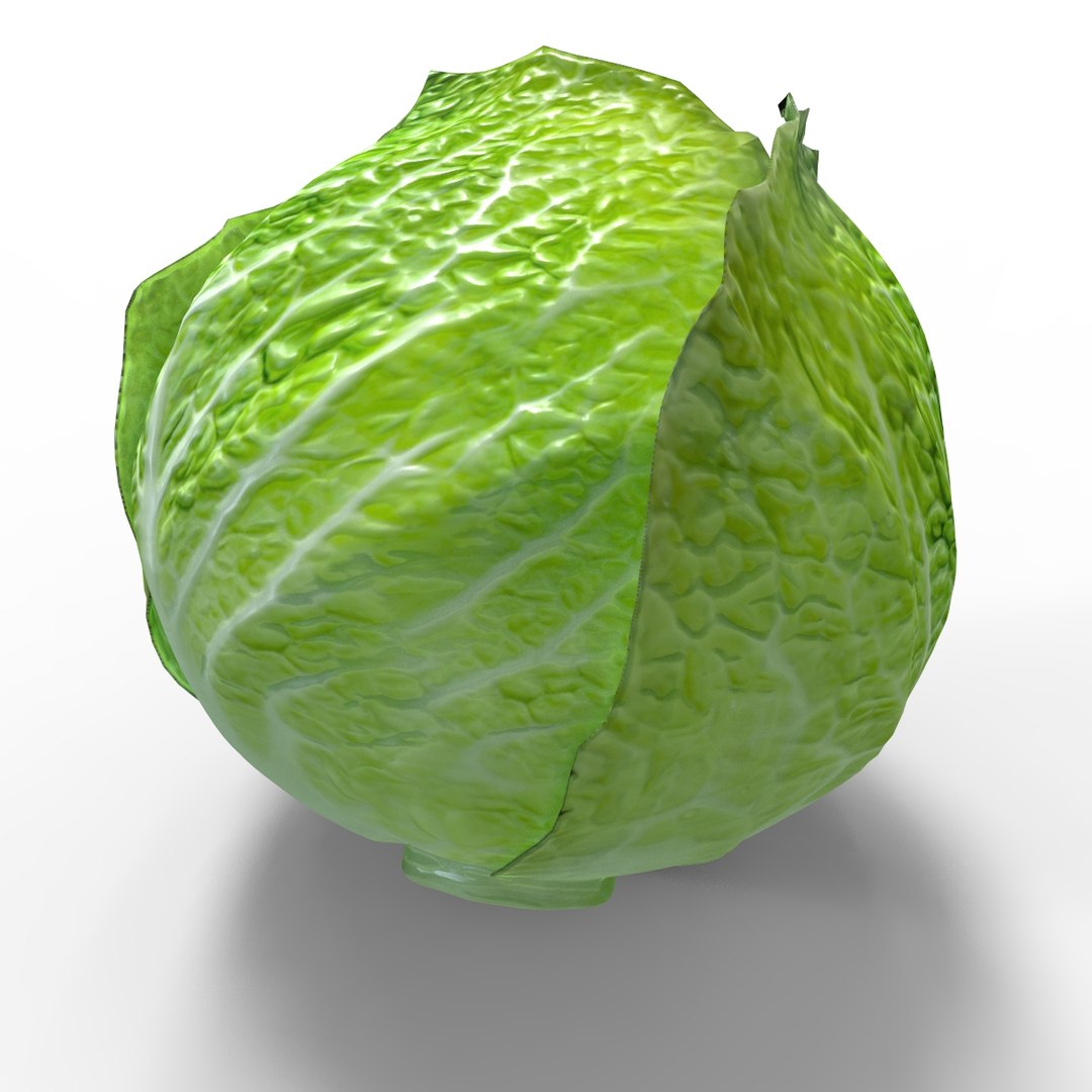 vegetable cabbage green model https://p.turbosquid.com/ts-thumb/mP/1NgINe/n0UuxLQE/cb4/jpg/1585612659/1920x1080/fit_q87/748e0442232b03bcc8b63bd14b0bd66d66902ee5/cb4.jpg