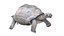 Tortuga