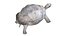 Tortuga