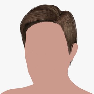 hairstyle 19 hair 3D model